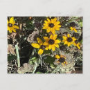 Search for group postcards Flowers