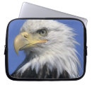 Search for bald headed eagle electronics Usa