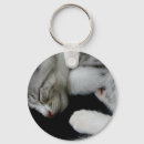 Search for fob key rings Holder