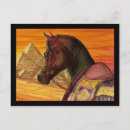 Search for saddle postcards Tack