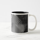Search for alba mugs White