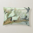 Search for marsh cushions Wildlife