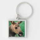 Search for steve key rings Usa