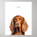Search for irish setter art Red