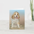 Search for cockerals cards Cute dog