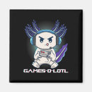 Search for gamming magnets Nerd