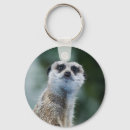 Search for meerkat key rings Manor