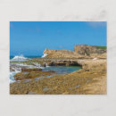 Search for tuna postcards Ocean