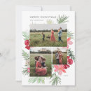Search for winter greenery christmas cards Merry