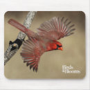 Search for cardinal mousepads Red bird