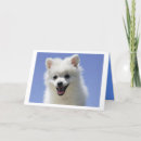 Search for eskimo dog cards Puppy