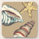 Search for sea shell coasters Nature