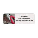 Search for weimaraner return address labels Dog