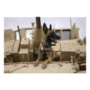 Search for working dog posters Military
