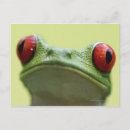 Search for shoulder postcards Animals in the wild