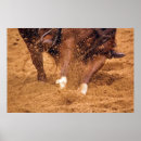 Search for eventing horse posters Cowboy