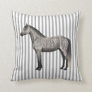 Search for dapple grey Pet