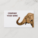 Search for circus business cards Animal