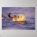 Search for cute otter posters Wildlife