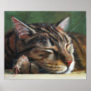 Search for tabbies posters Tabby