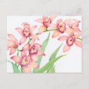 Search for pink watercolor postcards Flowers