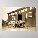 Search for feeding posters Horse