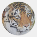 Search for tiger cat stickers Wild animals