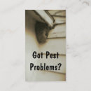 Search for pest control Removal