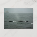 Search for pass business cards Summer