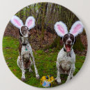 Search for easter chocolate badges Bunny