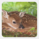 Search for white deer stickers Cute