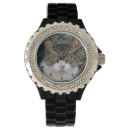 Search for tabby accessories Animals