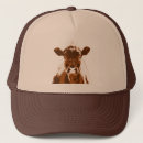 Search for curious hats Animal