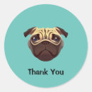Search for cute dog thank you stickers Pug
