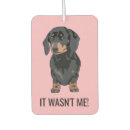 Search for dachshund gifts Dog