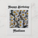 Search for yellow daisy birthday cards Summer