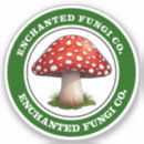 Search for amanita stickers Fungi