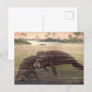 Search for mammals postcards Manatees