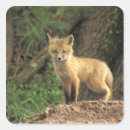 Search for red fox stickers Animal