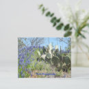 Search for texas bluebonnet postcards Country