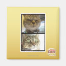 Search for thermometer magnets I can has cheezburger