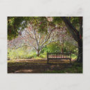 Search for park bench postcards Trees