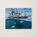 Search for orca puzzles Ocean