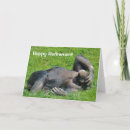 Search for funny chimpanzee postcards Chimps