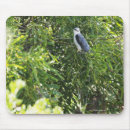 Search for the yard mousepads Bird