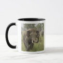 Search for asiatic elephant mugs Indian