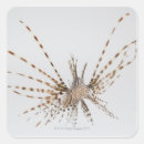 Search for lionfish stickers Striped
