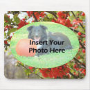 Search for picture frame mousepads Pet