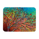 Search for rainbow bright magnets Maximalism