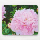 Search for peonies mousepads Pink flowers